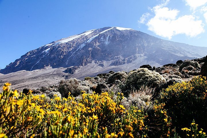 Kilimanjaro