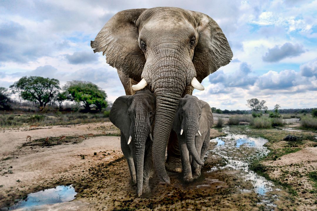 Lake Manyara National Park