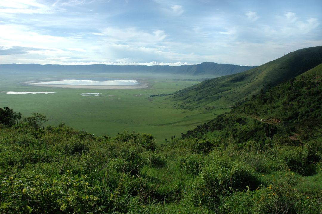 Ngorongoro